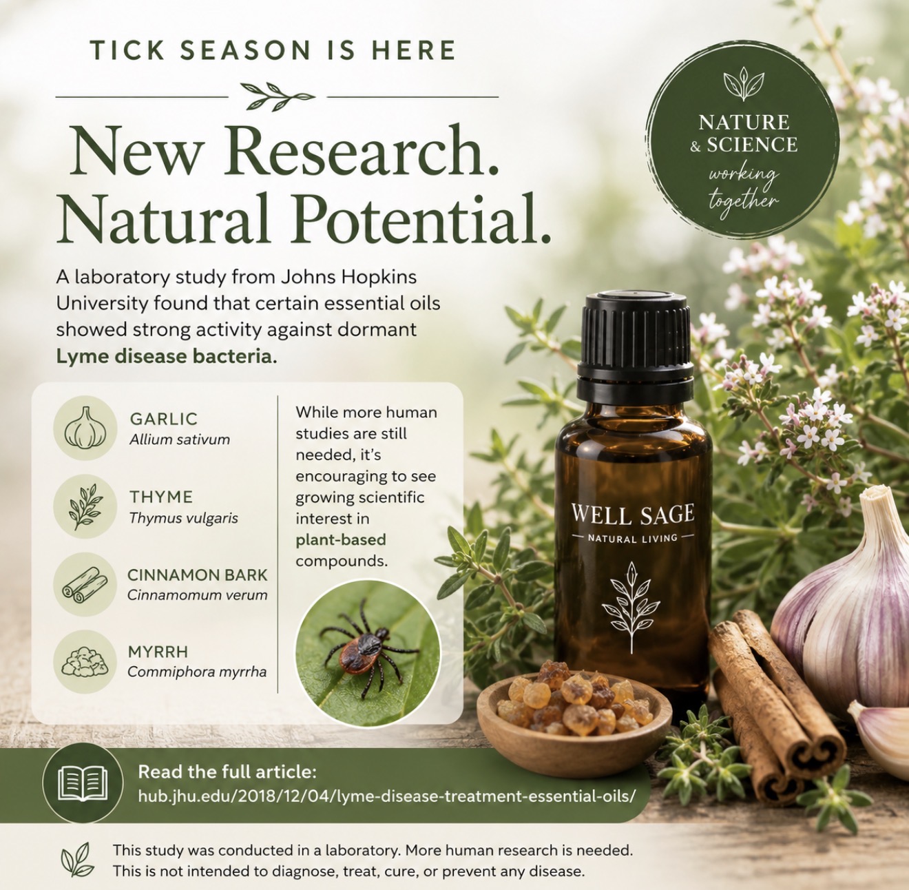 What a John Hopkins Laboratory Study Says About Essential Oils & Lyme Disease
