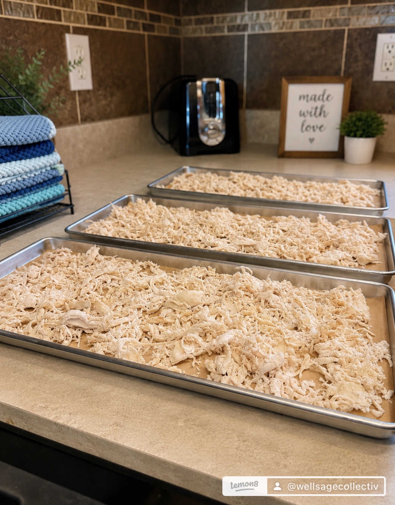 Why I Keep Freeze Dried Chicken in My Pantry
